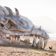 Illustration for article titled Did a massive dragon just wash ashore along Englands Jurassic coast?